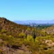 View of a desert landscape with cacti, hills, and sparse vegetation in the Phoenix Mountain Preserve, looking towards the Downtown Phoenix skyline under a clear blue sky.