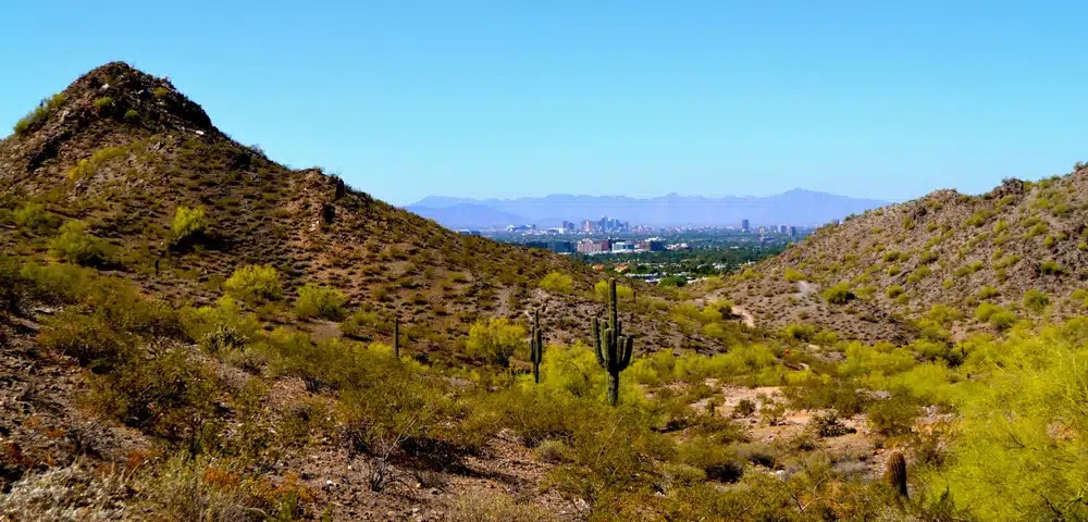View of a desert landscape with cacti, hills, and sparse vegetation in the Phoenix Mountain Preserve, looking towards the Downtown Phoenix skyline under a clear blue sky.