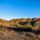 A desert landscape with sparse vegetation, cacti, and a range of hills in the Phoenix Mountain Preserve under a clear blue sky.